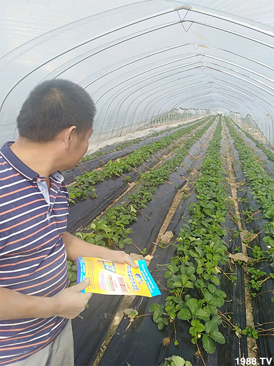 ˮ�ܷ��Ј���׃������徫���~���׌��������棡1000���Ñ��������]��