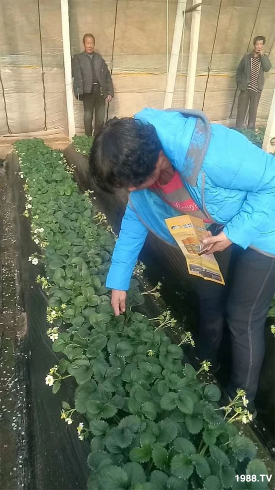 ˮ�ܷ��Ј���׃������徫���~���׌�����������1000���Ñ��������]��