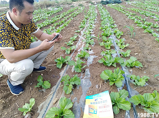 ˮ�ܷ��Ј���׃��������徫���~���׌�����������1000���Ñ��������]��