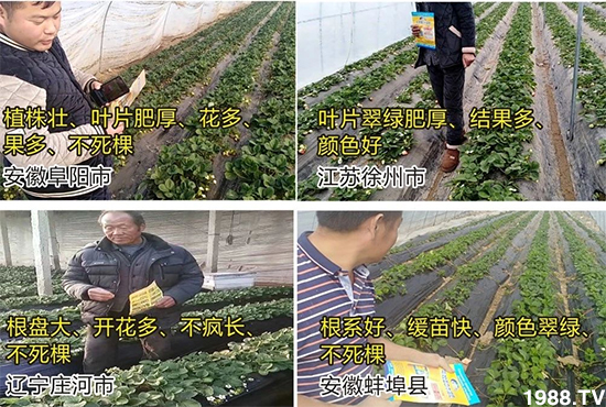 ˮ�ܷ��Ј���׃��������徫���~���׌�����������1000���Ñ��������]��