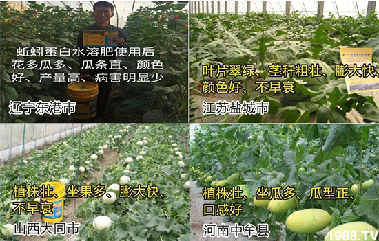 ˮ�ܷ��Ј���׃��������徫���~���׌�����������1000���Ñ��������]��