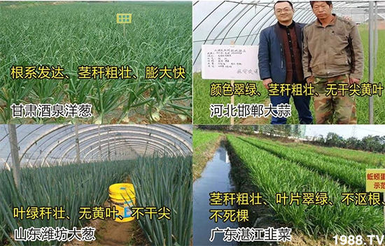 ˮ�ܷ��Ј���׃��������徫���~���׌�����������1000���Ñ��������]��