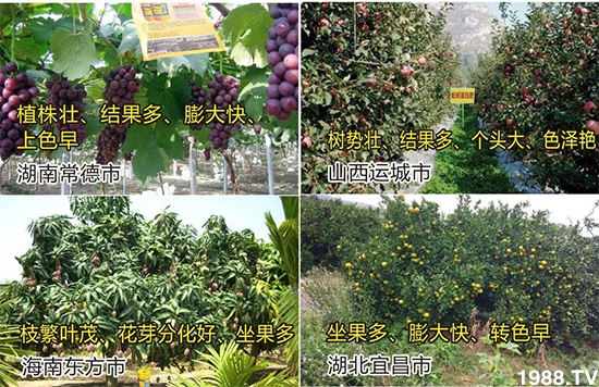 ˮ�ܷ��Ј���׃��������徫���~���׌�����������1000���Ñ��������]��