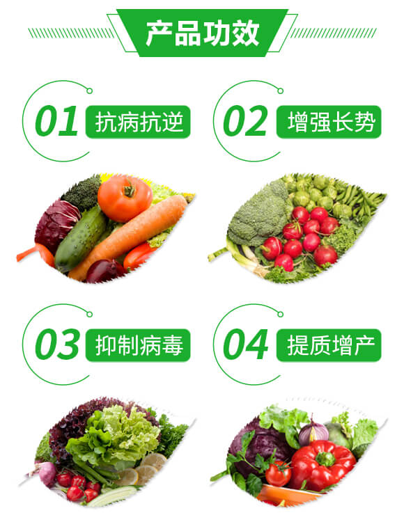 抑毒迎綠(專治病毒。-綠肥_03