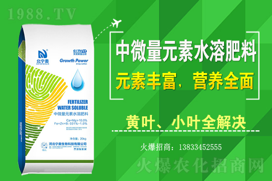 �S����ԓ��ô�Nֲ���S���˷Nֲ�^����ע����Щ���}��