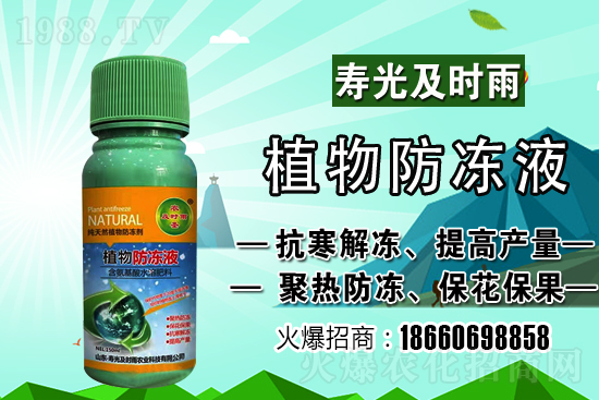 今日小麥價格上漲!到底會漲到多少錢一斤?
