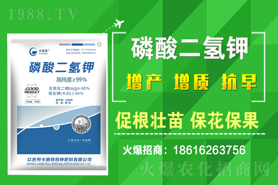 ���˷Nֲ��Ҫע����Щ��(w��n)�}�����˷Nֲԓ��ôʩ����