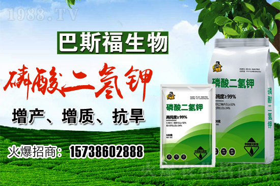 С���r(ji��)��F(xi��n)�ڶ����X(qi��n)һ�������������߄�(sh��)�����