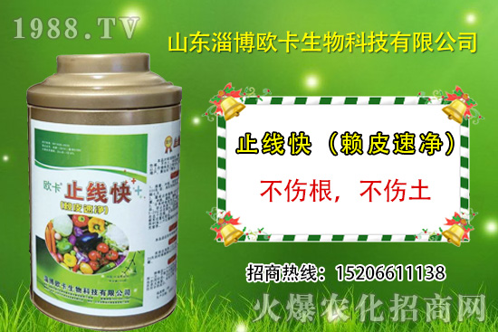 歐卡生物再簽1988.TV,力求實(shí)現(xiàn)企業(yè)騰飛夢(mèng)!