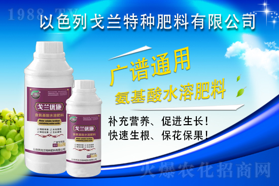 以色列戈蘭再續(xù)1988.TV,共謀合作新發(fā)展!