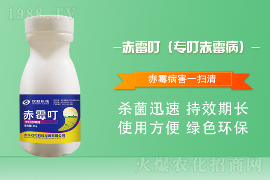 ����������(j��)�����B�p�ͿƼ��ٺ�1988.TV������(chu��ng)���x����