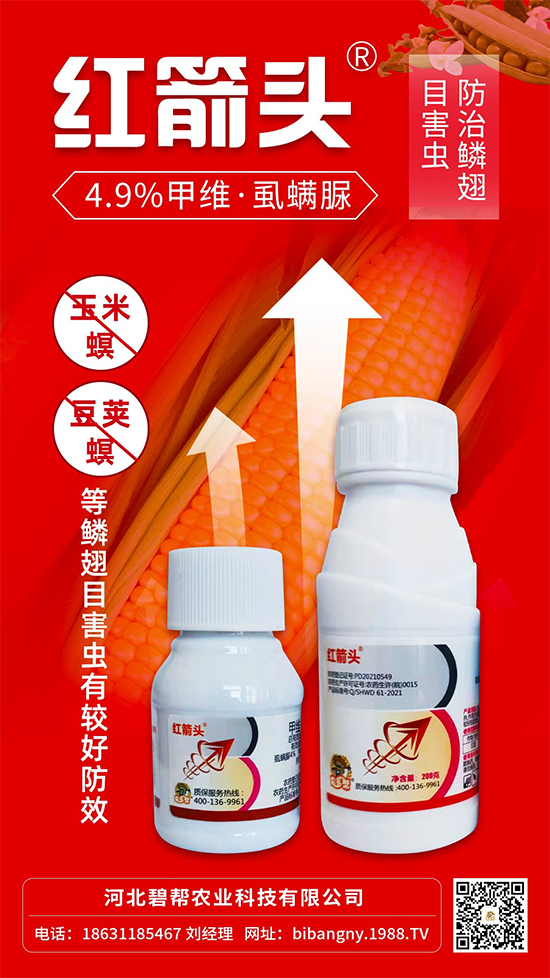 �ӱ��̎��r�I(y��)�Ƽ����޹�˾2