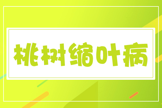 �Ҙ�(sh��)�s�~��