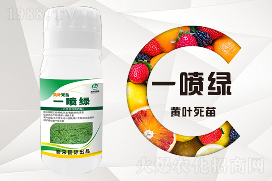 �����߲������ʲô������������ô��Q��