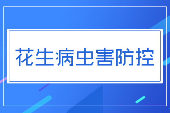 花生病蟲害