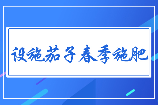 設施茄子春季施肥