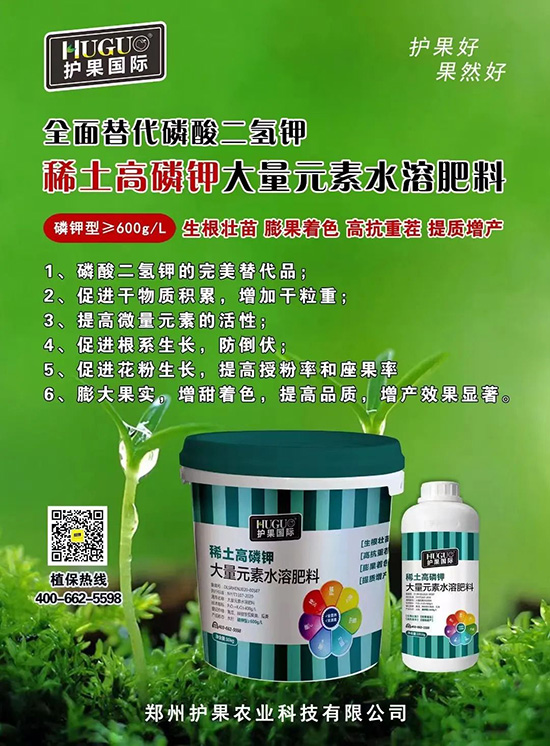 ⛷ʴ�q�r(ji��)���@�N⛷���ݶ��������������������ռ���f�Ј�