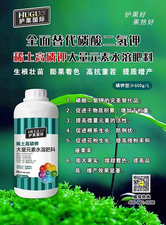 ⛷ʴ�q�r(ji��)���@�N⛷���ݶ��ϣ����������������ռ���f�Ј�