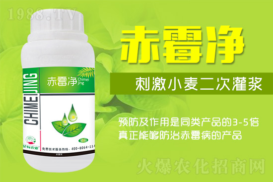 緊急提醒:未來十天是小麥赤霉病防治關(guān)鍵期!務(wù)必抓。