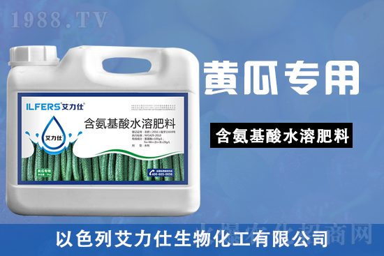 黃瓜苗期,該如何做好管理要點?