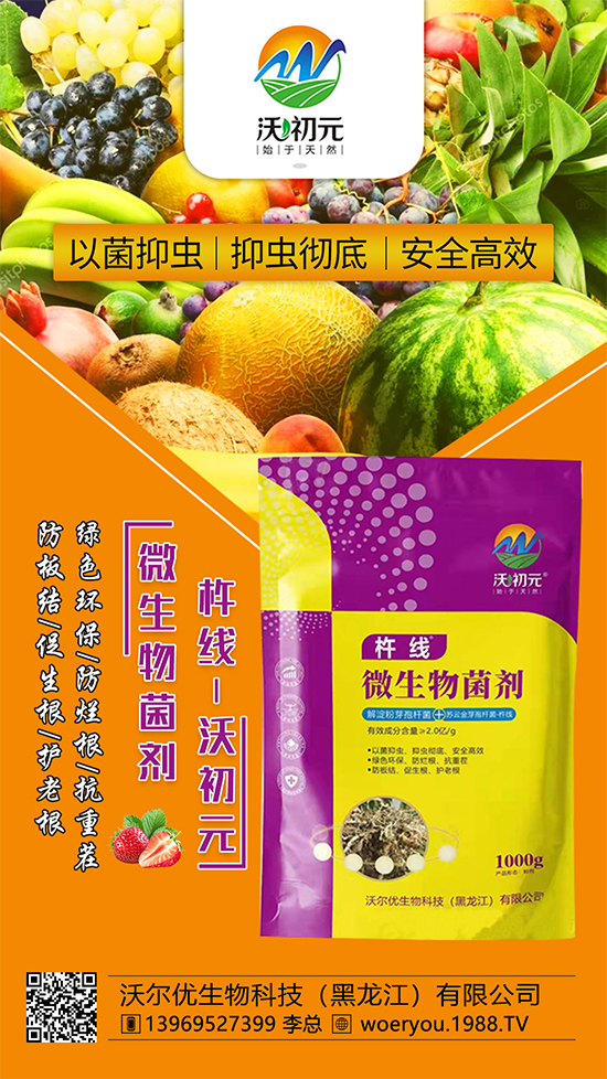 ����ĸ�ϵ���Q������Įa(ch��n)��