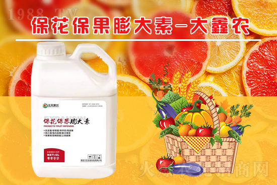 �ļ���������ٲ�������α��������