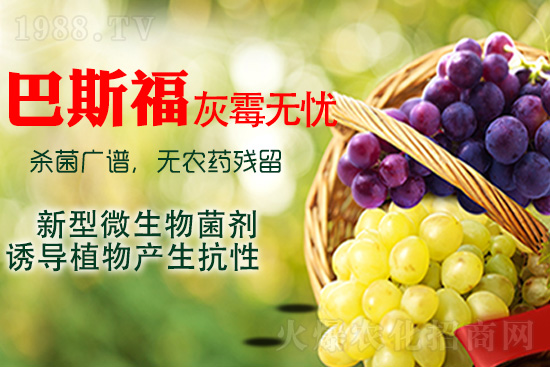 ���ѻ�ù��ԓ��ν�Q����ù����ˎ���h��