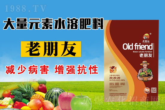 ��(ji��)ˮ�r(n��ng)�I(y��)���s1988.TV���y�ֹ���(chu��ng)����������