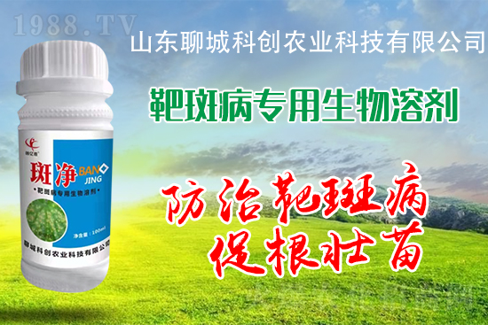 �S�ϰа߲�Σ��������������δ�ʩ����Щ��