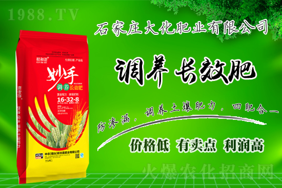 ��(zh��n)�Ժ�����������ʯ���f�󻯷ʘI(y��)�ٴκ��s1988.TV��