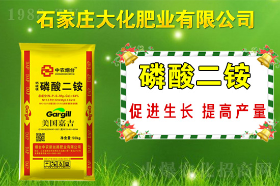 ��(zh��n)�Ժ�����������ʯ���f�󻯷ʘI(y��)�ٴκ��s1988.TV��