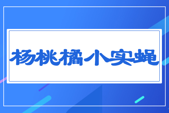 楊桃橘小實(shí)蠅
