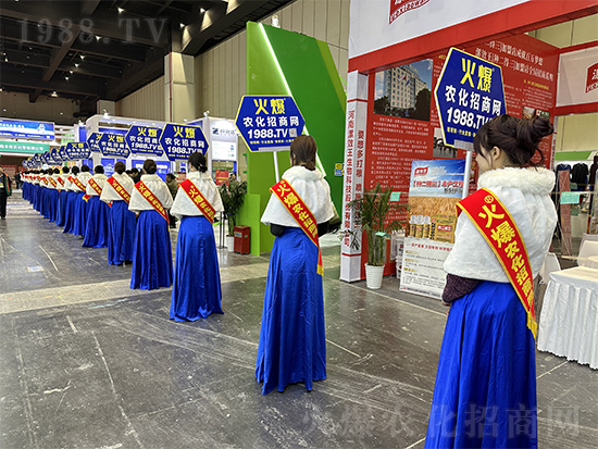 火爆網美女禮儀宣傳隊亮相2024中原農資雙交會！