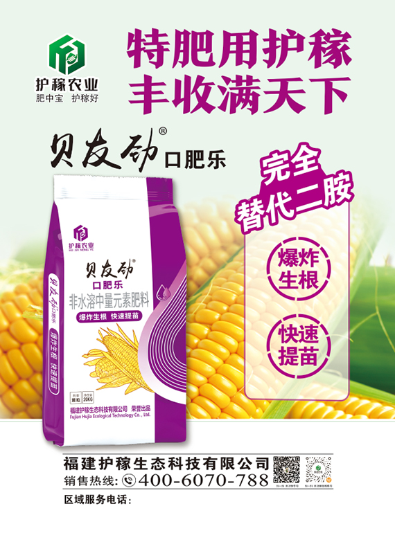 微信圖片_20260107122522_12_2705