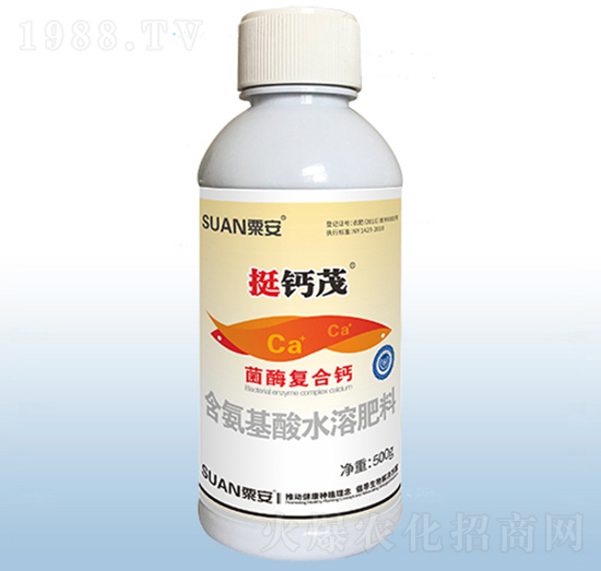 500gͦ�}ï-�ڰ�