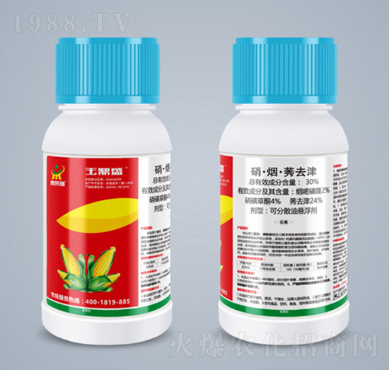 210ml��������ݬȥ��-��ʢ-������