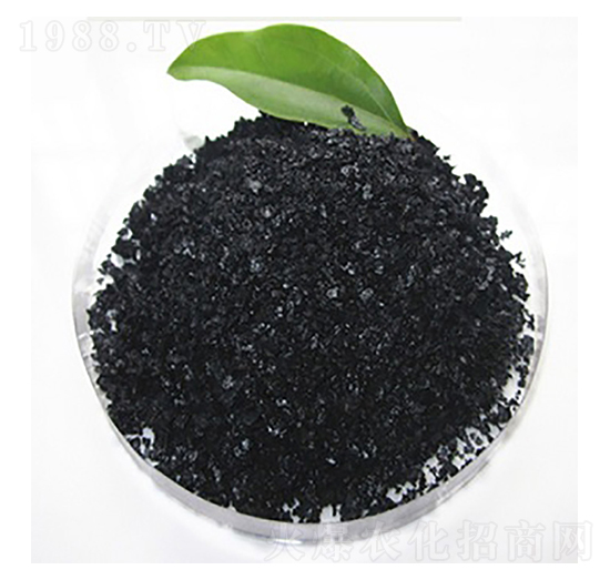 ��ֲ���-�P������