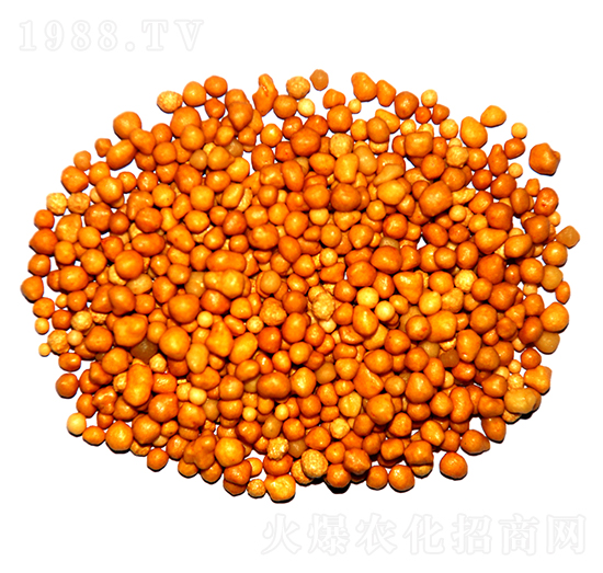 ����n�w����ጷ�15-7-13-ïʩ����