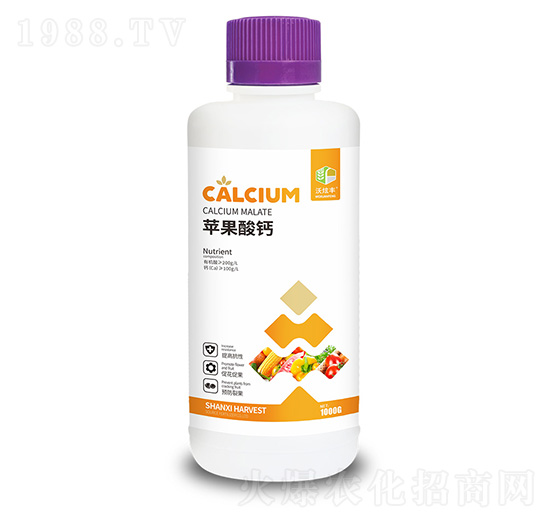 �O(p��ng)�����}-�����S-�ɿ����ʘI(y��)