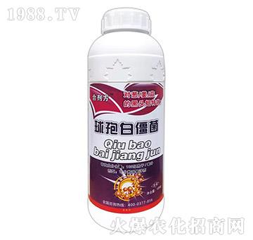 ���߰׽���-����