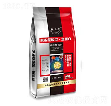 �۹Ȱ������~����-���~