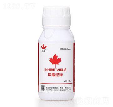 �ֶ�ӭ�G�����β������� �G�ʼt��