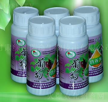 ���ѠI(y��ng)�B(y��ng)Һ-�G��