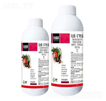 40%�}�����V��������-�s��M-���՘�(l��)