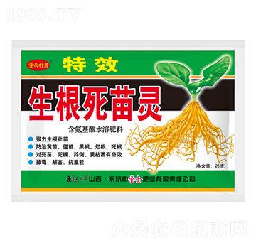 ���������`-������ؐ-ʥ��ʘI(y��)