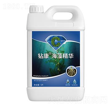 �@�����徫�A-�����ط�