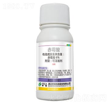 6%��ù��-����