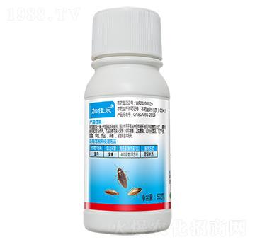 40%߻�x(ch��ng)��60g-�Ӽј�(l��)-����