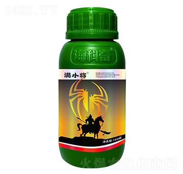 20%������-�MС��-������