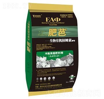 �ʰ�-���_��